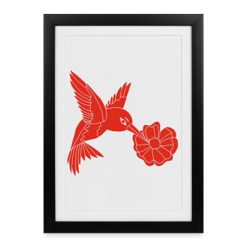 Oiseau butineur rouge - Affiche encadrée (27 × 37 cm) - noir - Devant