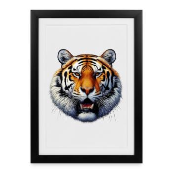 Tigre - Affiche encadrée (27 × 37 cm) - noir - Devant