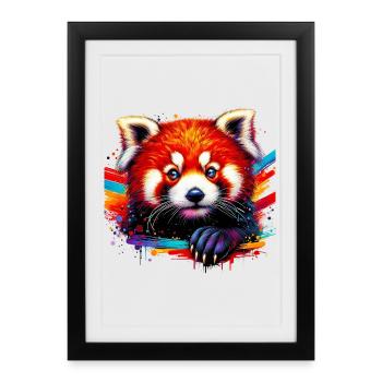 Red panda - Framed poster (27 × 37 cm) - black - Front