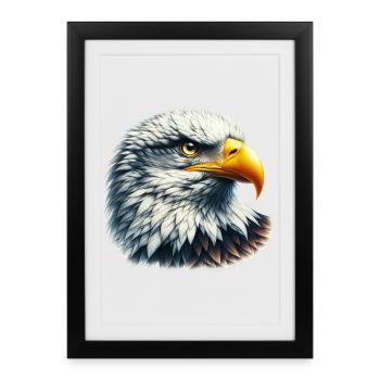 Aigle - Affiche encadrée (27 × 37 cm) - noir - Devant