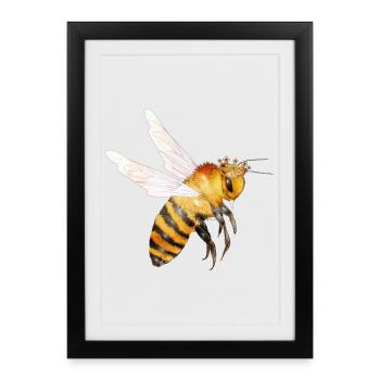 Flying queen bee hand drawn - Framed poster (27 × 37 cm) - black - Front