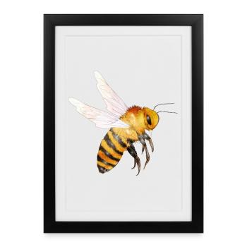 Abeille volante - Motif d’abeille dessiné à la main - Affiche encadrée (27 × 37 cm) - noir - Devant