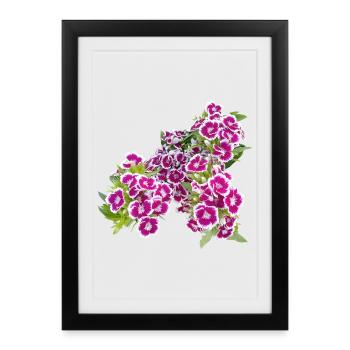 Carnation poetry – focus on garden blossoms - Framed poster (27 × 37 cm) - black - Front