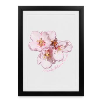 Almond Blossom Joy - Sonja Ariel von Staden - Framed poster (27 × 37 cm) - black - Front