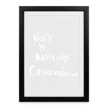 Nolite te bastardes carborundorum - Framed poster (27 × 37 cm) - black - Front