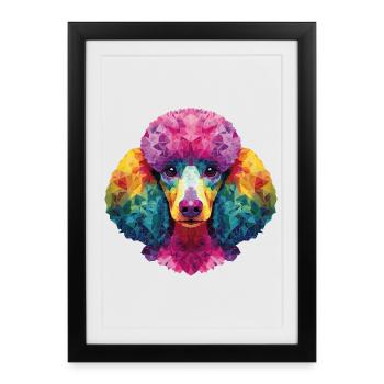 Caniche Chien - Affiche encadrée (27 × 37 cm) - noir - Devant