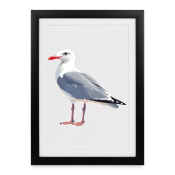 Seagull - Framed poster (27 × 37 cm) - black - Front
