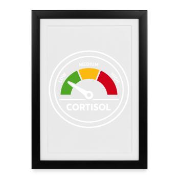 Cortisol Meter Funny Hormones Gift - Framed poster (27 × 37 cm) - black - Front