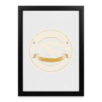 Anteater Fan Club | Retro Wild Animal Motif - Framed poster (27 × 37 cm) - black - Front