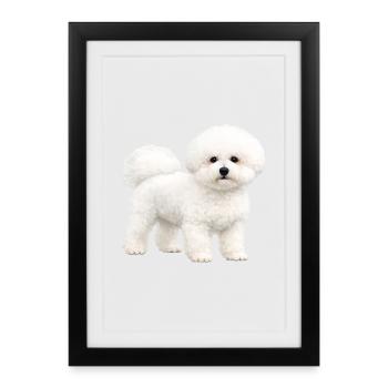 Chiot Bichon Frisé réaliste - Affiche encadrée (27 × 37 cm) - noir - Devant