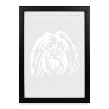 Tête Havanese « Édition Noire » - Affiche encadrée (27 × 37 cm) - noir - Devant