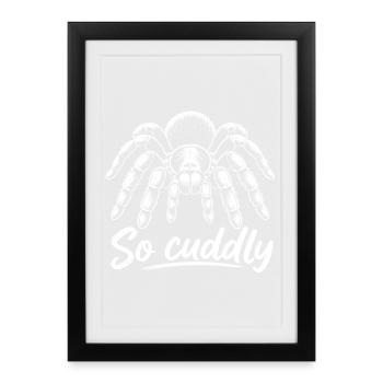 Ami araignée - Affiche encadrée (27 × 37 cm) - noir - Devant