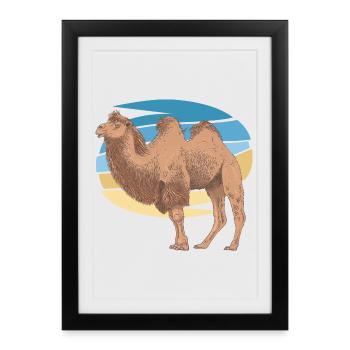 Camel - Framed poster (27 × 37 cm) - black - Front