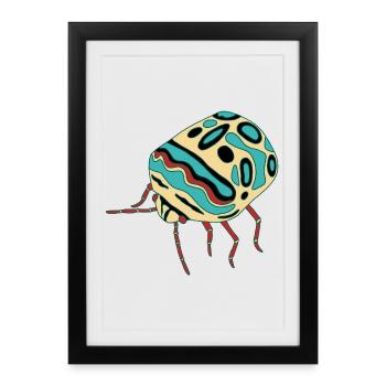 Insecte multicolore - Affiche encadrée (27 × 37 cm) - noir - Devant