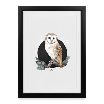 Chouette effraie avant la nouvelle lune - Affiche encadrée (27 × 37 cm) - noir - Devant