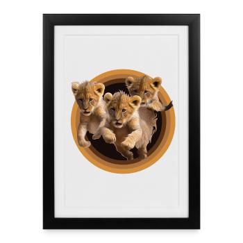 Chatons - Affiche encadrée (27 × 37 cm) - noir - Devant