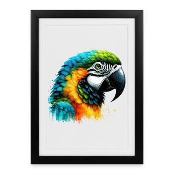 Perroquet - Affiche encadrée (27 × 37 cm) - noir - Devant