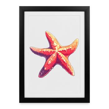 Étoile de mer Étoile de mer - Affiche encadrée (27 × 37 cm) - noir - Devant
