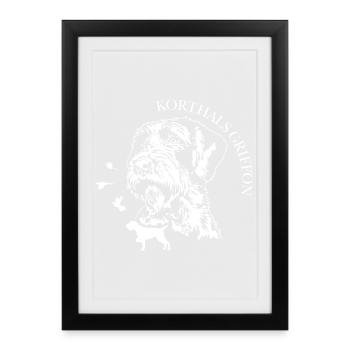 Korthals griffon Chiens portrait Chiens Chiens de chasse Wilsigns - Affiche encadrée (27 × 37 cm) - noir - Devant
