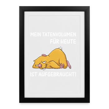 Schlafende Katze – Tatenvolumen aufgebraucht - Gerahmtes Poster (27 × 37 cm) - Schwarz - Vorne