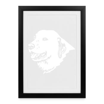 Tête Ovcharka d’Asie centrale « Black Edition » - Affiche encadrée (27 × 37 cm) - noir - Devant