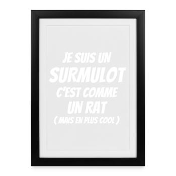 rat, surmulot, rongeur - Affiche encadrée (27 × 37 cm) - noir - Devant