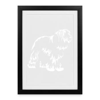 Bearded Collie « Black Edition » - Affiche encadrée (27 × 37 cm) - noir - Devant