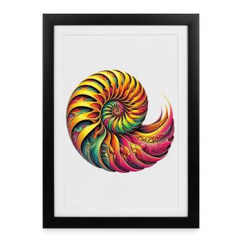 Nautilus Shell - Framed poster (27 × 37 cm) - black - Front