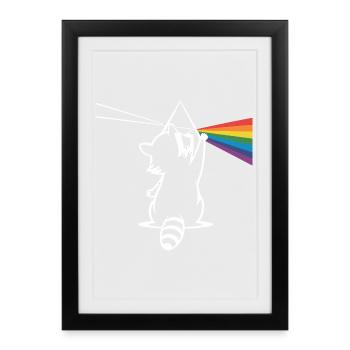Raccoon with prism and rainbow spectrum - Framed poster (27 × 37 cm) - black - Front