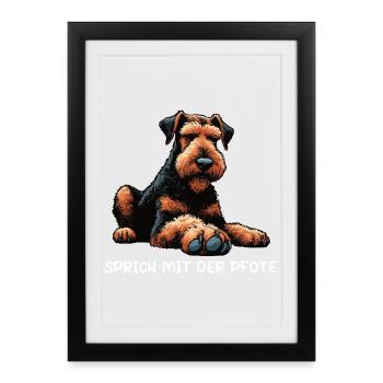 Parler à la patte Airedale Terrier Airedales - Affiche encadrée (27 × 37 cm) - noir - Devant
