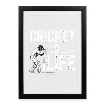 Funny Cricket Saying Vintage Cricket Game - Framed poster (27 × 37 cm) - black - Front