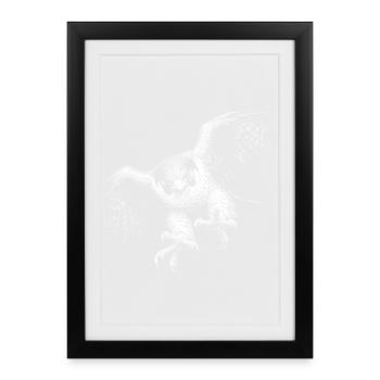 faucon pèlerin - Affiche encadrée (27 × 37 cm) - noir - Devant