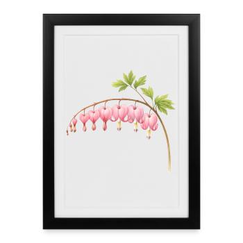 Bleeding Heart Pink Spring Flower - Framed poster (27 × 37 cm) - black - Front