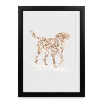 Sketch du Labrador Fox Red – Design du chien - Affiche encadrée (27 × 37 cm) - noir - Devant
