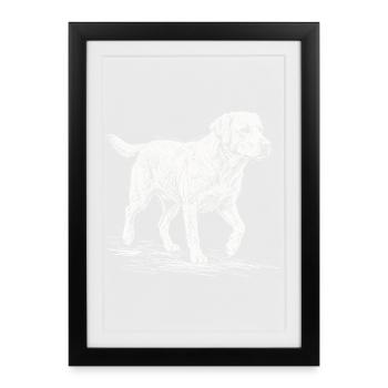 Labrador Sketch White – Minimalist Design - Framed poster (27 × 37 cm) - black - Front