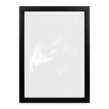 Aigle royal - Affiche encadrée (27 × 37 cm) - noir - Devant