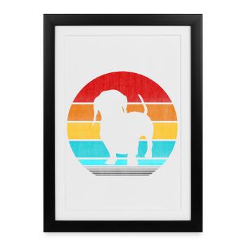 teckel - Affiche encadrée (27 × 37 cm) - noir - Devant
