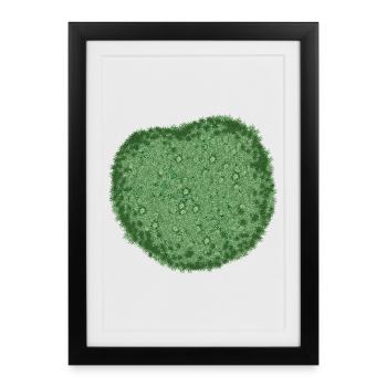 Coussin naturel de mousse verte fraîche - Affiche encadrée (27 × 37 cm) - noir - Devant