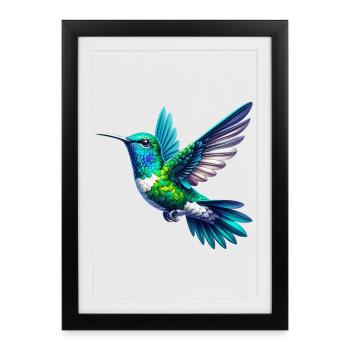 Colibri - Affiche encadrée (27 × 37 cm) - noir - Devant
