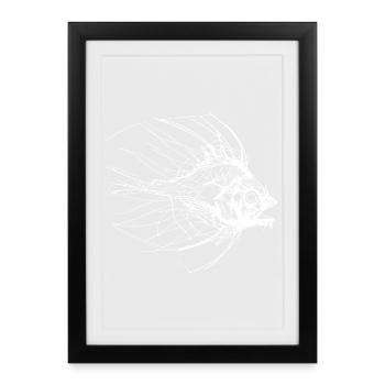 Fish Sketch - Framed poster (27 × 37 cm) - black - Front