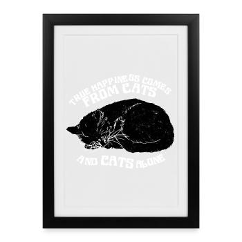 TRUE HAPPINESS COMES FROM CATS - Framed poster (27 × 37 cm) - black - Front