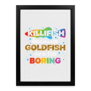 Toothcarp Killfish Toothed carp - Framed poster (27 × 37 cm) - black - Front