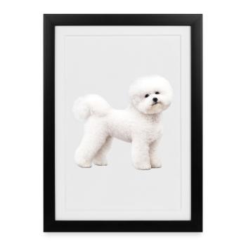 Bichon Frisé réaliste - Affiche encadrée (27 × 37 cm) - noir - Devant