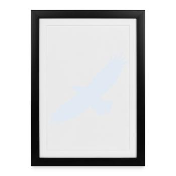 Aigle - Affiche encadrée (27 × 37 cm) - noir - Devant