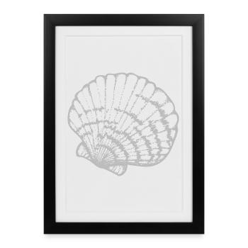 Étude de la lignée de coquilles de moules - Affiche encadrée (27 × 37 cm) - noir - Devant