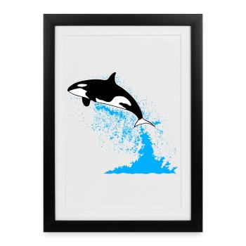 Orca, killer whale, killer whale, killer whale, sea - Framed poster (27 × 37 cm) - black - Front