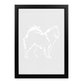Eurasier « Black Edition » - Affiche encadrée (27 × 37 cm) - noir - Devant