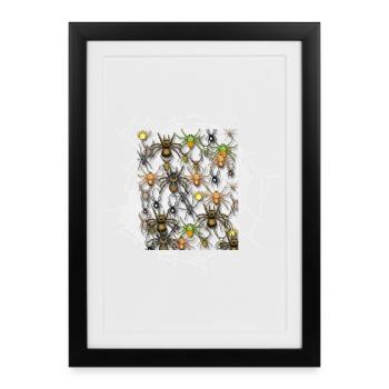 Araignée - Affiche encadrée (27 × 37 cm) - noir - Devant