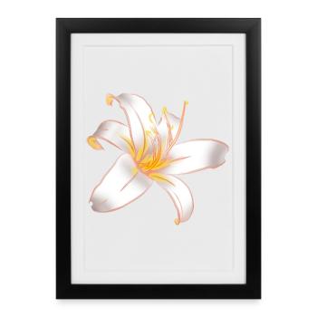 LYS BLANC Lys Blanc Magique - Affiche encadrée (27 × 37 cm) - noir - Devant