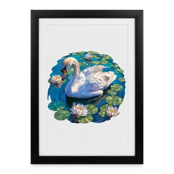 Swans Swan - Framed poster (27 × 37 cm) - black - Front